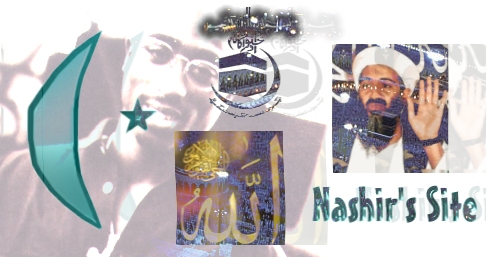 bigsplash.jpg (26213 bytes)